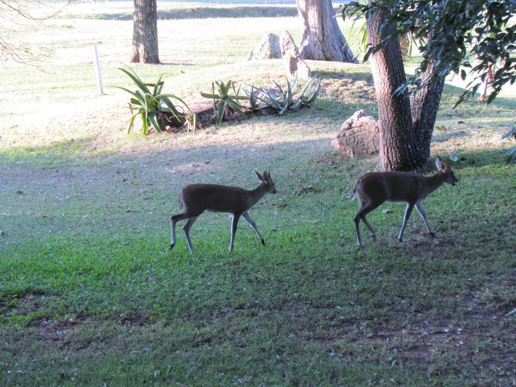 Matumi Golf Lodge Mbombela Dış mekan fotoğraf